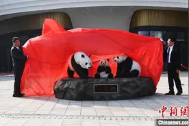 成都大熊猫繁育研究基地与日本白浜野生动物园熊猫纪念碑交接仪式在蓉举行图片