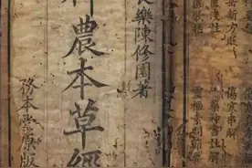 中西互鉴：西药学的传入与中国药学的流变图片