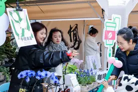 杭州：挑艺创好物 做“旅拍体验官”图片