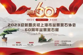 上海植物园盆景赏石展火热进行中~活动只剩两天咯图片