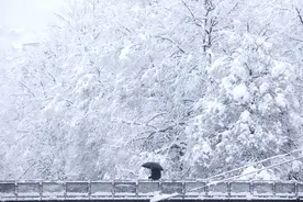 （外代一线）萨拉热窝降雪图片