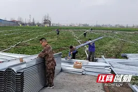 南县麻河口镇：加快育秧大棚建设 抢抓早稻粮食生产图片
