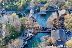 鸟瞰天下第一泉——趵突泉图片
