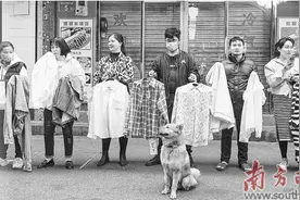 走出康鹭图片