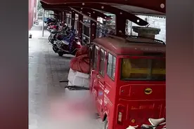 吉安几名小孩放火烧电动三轮车，起火后在一旁撒尿并添可燃物图片