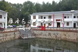 视频 | 雁峰区这个电商小镇有点“辣”图片