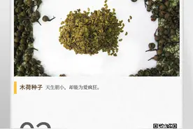 湖湘自然历丨它要发芽①逗号，未成定局图片