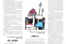 奇妙的蘑菇图片