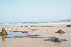 晋江市深沪镇:守护那一片神秘的海底古森林遗迹图片