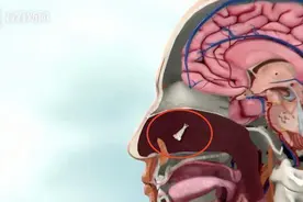 美国一男子自来水洗脸感染食脑虫死亡图片
