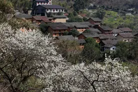 大美中国·壮美广西0305丨李花开放宛如世外桃源图片