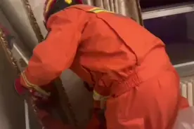 果然视频|凌晨，蝙蝠飞进居民家，消防员到场“请”出来图片