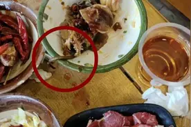 重庆九龙坡市监局通报“吃完火锅发现锅底有一只老鼠”：属实，已立案视频封面