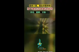 春风十里，我在济南等你，接下来的济南是这样的……图片