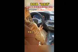 准新娘"自嫁游"，开着头车带领接亲团队前往酒店图片