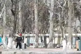 携家人踏青图片