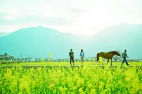 电视剧《去有风的地方》剧照图片