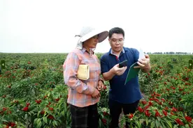撬动714亿金融活水流向田间地头！这支“金融豫军”助农新模式在全国推广图片