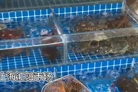 3.15公益行动丨“天价”塑料袋没有了！江阳市场要求商家必须去皮称重图片