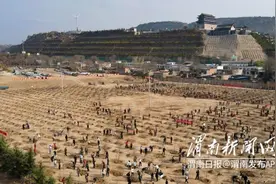 秦东大地添新绿图片