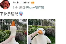 最近街头怎么那么多“鹅”？回头率相当高！但重要提醒：有人已上当图片