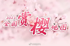 2023全国赏樱地图出炉 江南即将开启最美樱花季图片