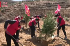 视频｜沂源：为乡村振兴厚植生态底色图片