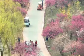 南通文旅市场“春暖花开”，你打卡了吗？图片