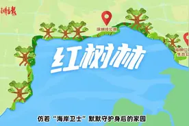 飞阅深圳·日历丨2023年3月13日图片