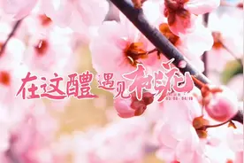 视频丨在这“醴” 遇见桃花图片