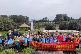体验采茶之乐感受非遗之美 成都成华区开展沉浸式研学活动图片
