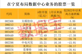 宁夏放大招，聚焦数据中心建设！这些上市公司抢先布局，滞涨+低市盈率概念股请收藏图片