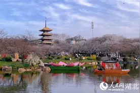优待项目360项！湖北向全国退役军人发出春游邀请图片