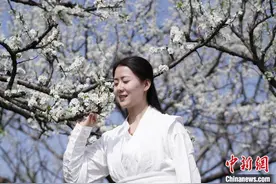 江西永修凤凰山桃花节举行 多彩文旅活动助力全域旅游图片