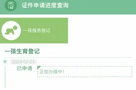 问政回声丨市民反映陕西生育登记线上申请难办理 官方：一周内已完成审核图片