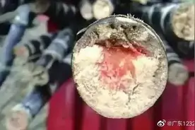“清明蔗，毒过蛇”？这些甘蔗有毒！不能吃！图片