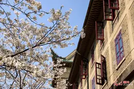 武汉大学对社会公众开放赏樱图片