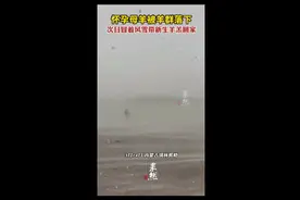 怀孕母羊被羊群落下，次日冒着风雪带新生羊羔回家图片