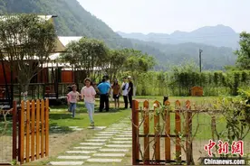 秦岭山间“微度假”升温 民宿产业激活乡村经济图片