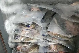 垃圾桶里捞食材，半天妖烤鱼岂能对食品安全作妖？|新京报快评图片