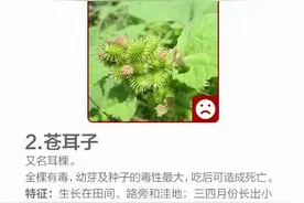紧急提醒！别吃，已有人中毒！图片