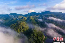 海南热带雨林国家公园生态环境质量保持海南最佳图片