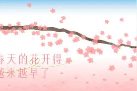 这枝76年武大花期数据绘出的樱花，记录了地球在变暖图片