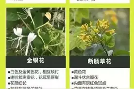 造成1人死亡，3人发病！有剧毒，千万别吃图片