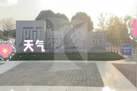 网红扎堆“搭梯子”？樱花虽美，这些行为可不美图片