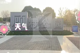 网红扎堆“搭梯子”？樱花虽美，这些行为可不美图片