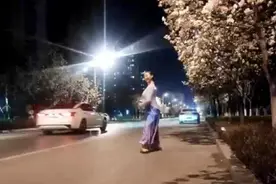 果然视频|新泰玉兰花已开，花下舞者见证春日浪漫图片