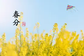 春分丨生活明朗，万物可爱图片