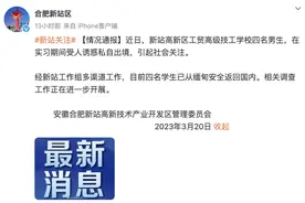 安徽合肥通报：四名学生实习期间受人诱惑私自出境，均已返国图片