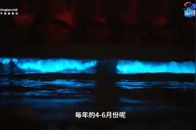 绝美“蓝眼泪”冲上热搜，网友：有毒吗？图片